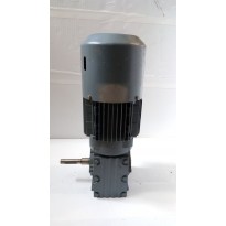 Motor 370W DT71D4BMG/Z s převodovkou WA30